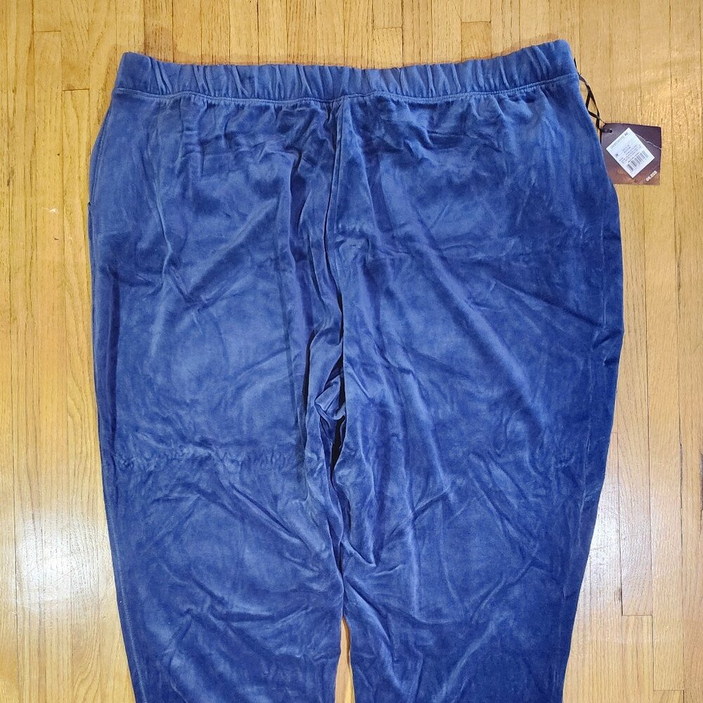 NWT Ava & Viv Blue Velour Track Pants